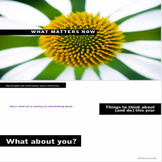 What Matters Now - Seth Godin What Matters Now - Seth Godin